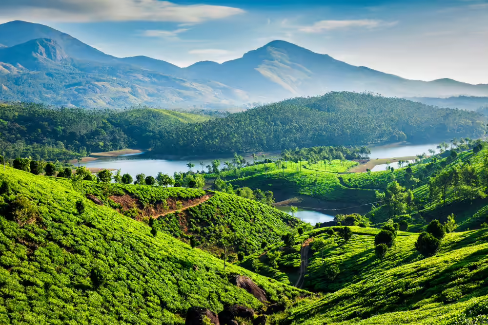 Kerala, India Landscape